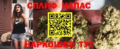 винт Славгород