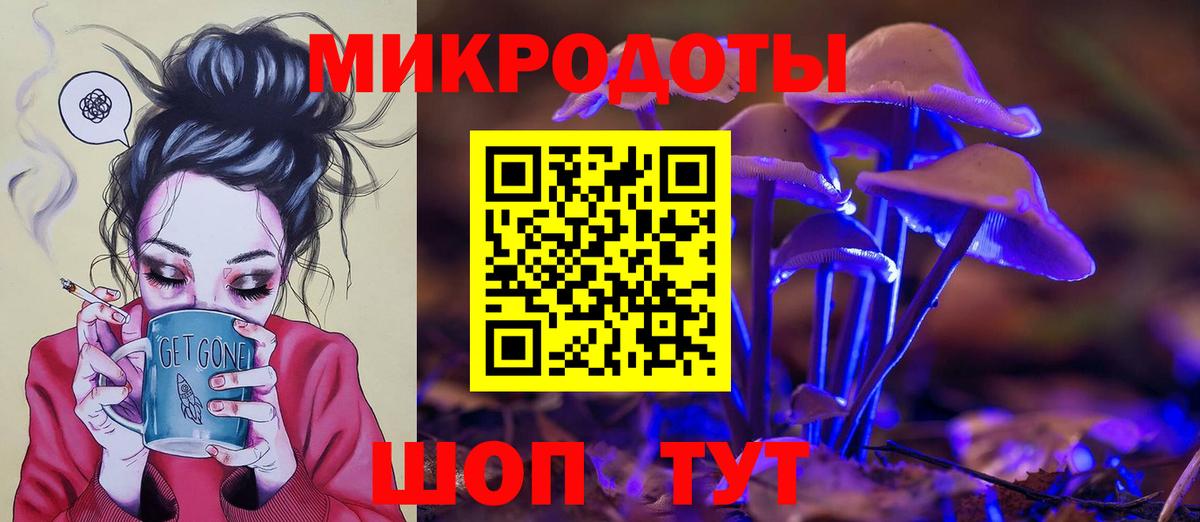 Псилоцибиновые грибы Psilocybe Нижний Новгород