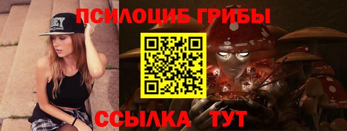 Нижний Новгород  купить наркотики сайты  Вход с VPN  Галлюциногенные грибы мицелий 